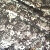 Dressmaking Fabric | Black and White Floral Polyester Fabric | More Sewing