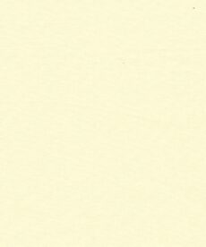 Plain Cotton Poplin Fabric | Cream Cotton | More Sewing