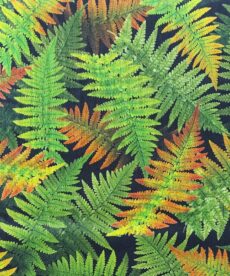 Cotton Fabric | Digital Print Open Air Leaves Cotton | More Sewing