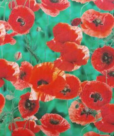 Dress Fabric | Poppy Digital Print Cotton Fabric | More Sewing