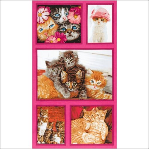 Cat Crazy Cotton Fabric Panel | More Sewing