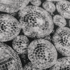 Disco Balls Digital Print Cotton Fabric 140cm Wide