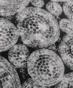 Disco Balls Digital Print Cotton Fabric 140cm Wide