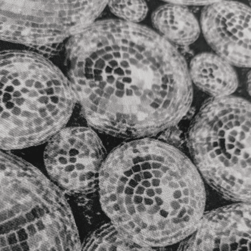 Disco Balls Digital Print Cotton Fabric 140cm Wide