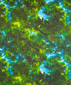 Trees And Sky Digital Print Cotton Fabric 140cm Wide