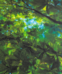 Trees And Sky Digital Print Cotton Fabric 140cm Wide