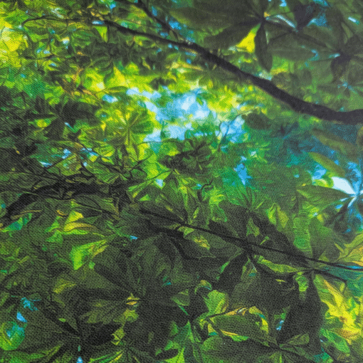 Trees And Sky Digital Print Cotton Fabric 140cm Wide
