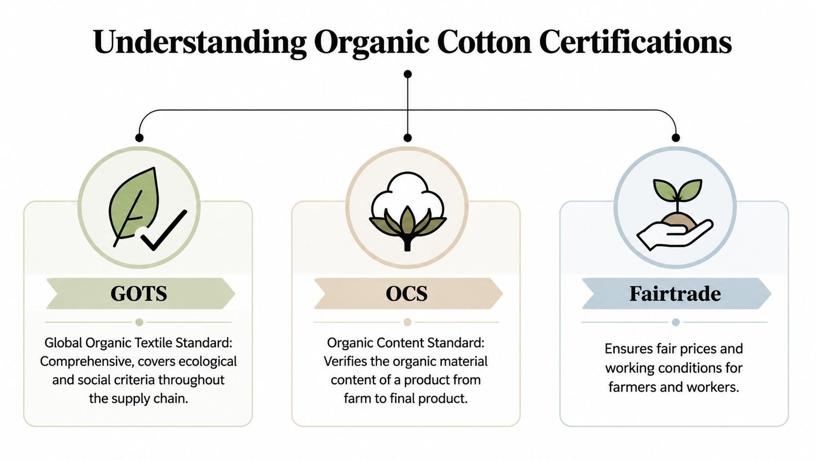 A visual guide explaining key organic cotton certifications including GOTS, OCS, and Fairtrade standards.