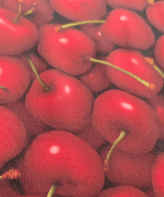 Cherry Print 100% Viscose Sateen Fabric 145cm Wide Per Half Metre