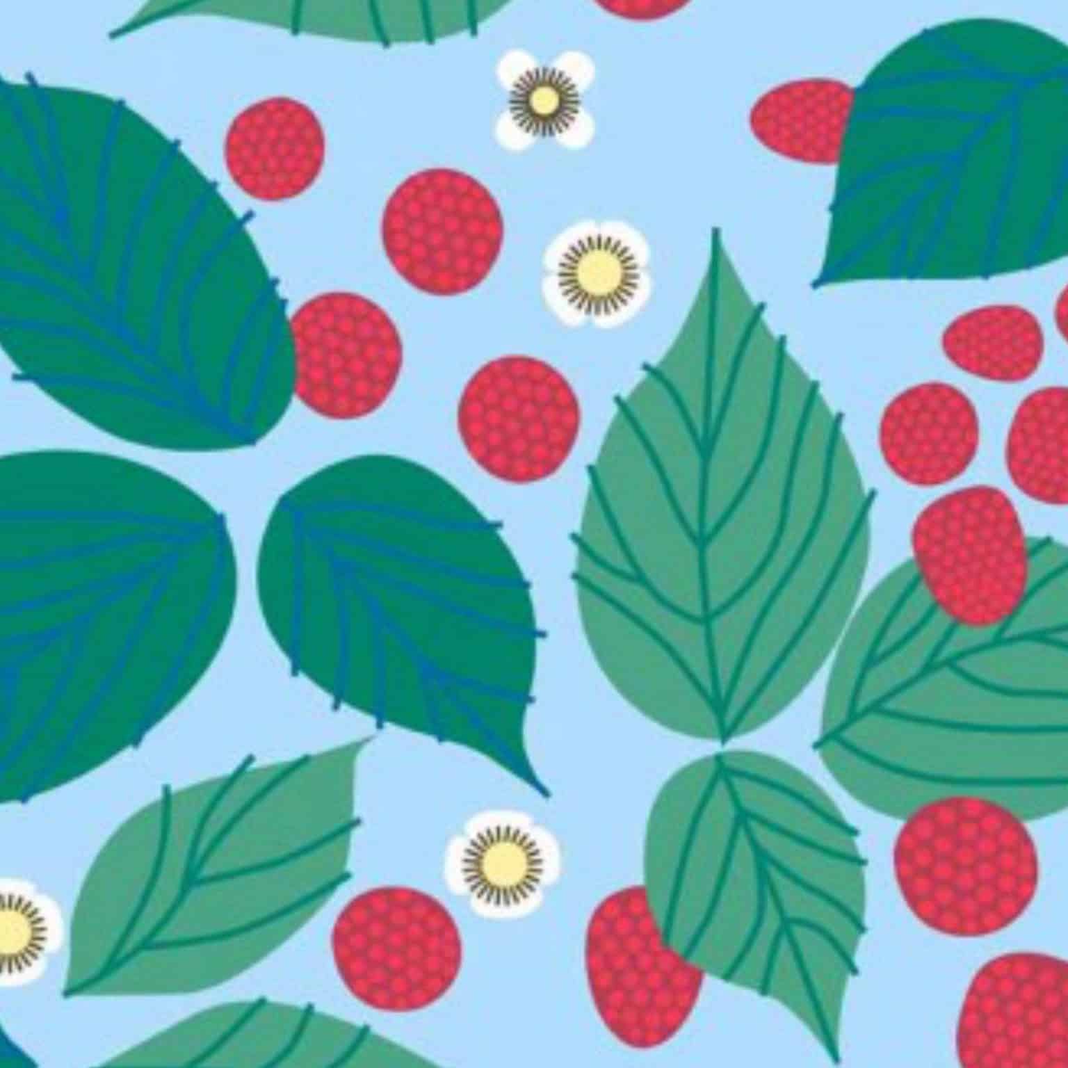 Cotton Fabric | Bright Strawberries Cotton | More Sewing